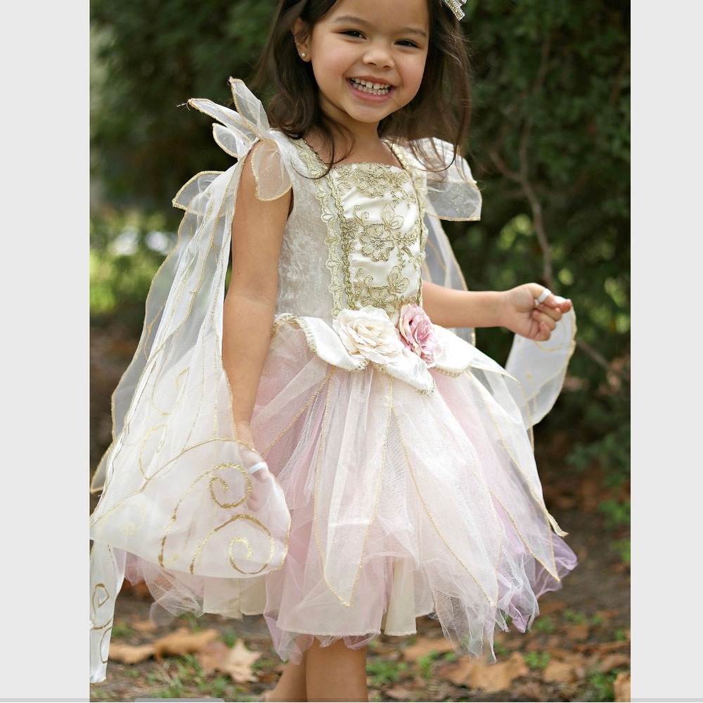 Fairy Dust costume, 3 piece set, 2-3 yrs